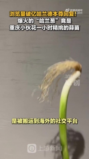 世界杯直播_世界杯直播平台视频高清在线看无插件_2026世界杯赛事直播